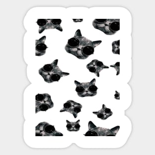 funny cats Sticker